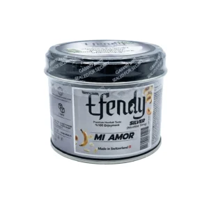 Efendy Silver – Mi Amor